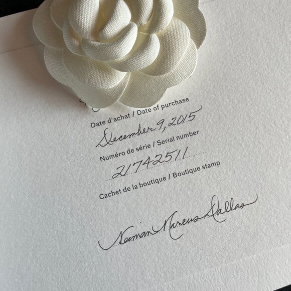 NEW CHANEL Classic Caviar Medium Double Flap Bag Beige Clair Gold Hardware - Picture 5 of 16